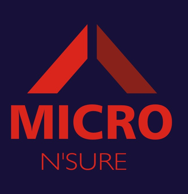 MicroNsure Consultancy