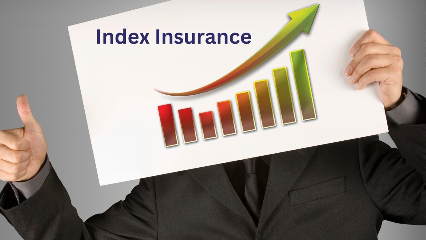 Index Insurance
                                    