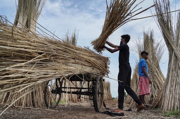 Microinsurance protecting the farmers